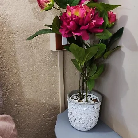 Casa Bea Appartement *