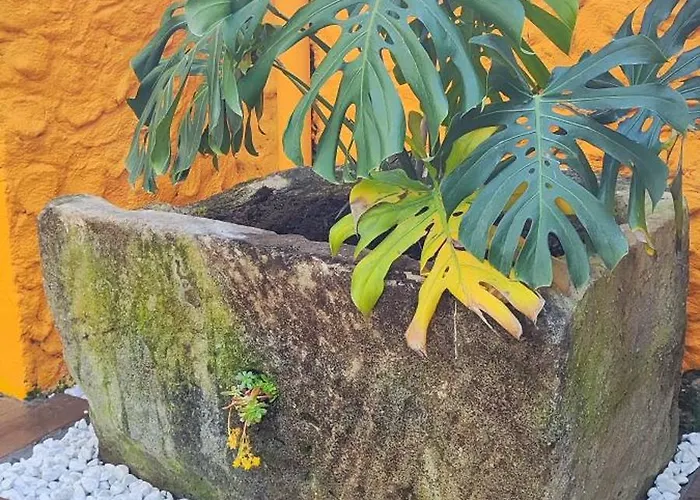 Casa Bea Lägenhet Santa Margherita Ligure