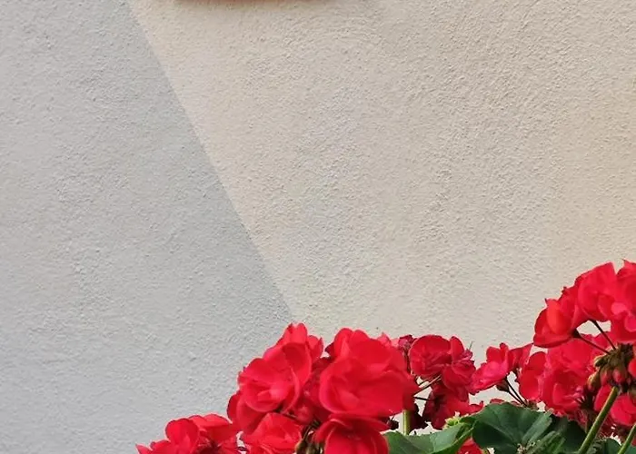 Casa Bea
